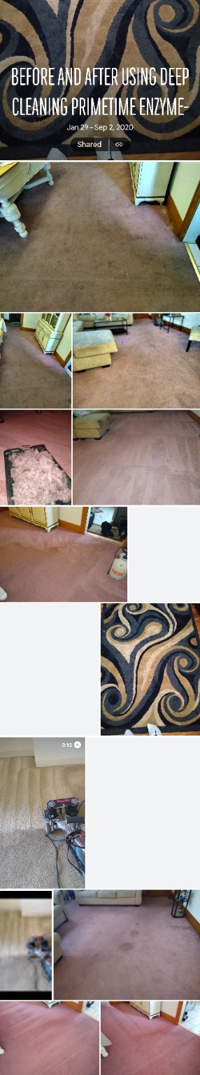 Brian’s saved before-and-after collection showing carpet spots, cleaning work, and refreshed carpets